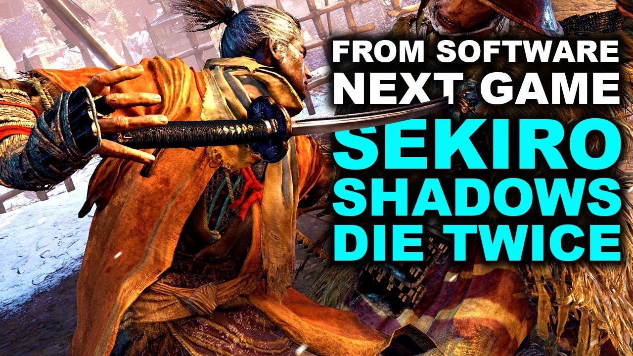 sekiro shadows die twice game